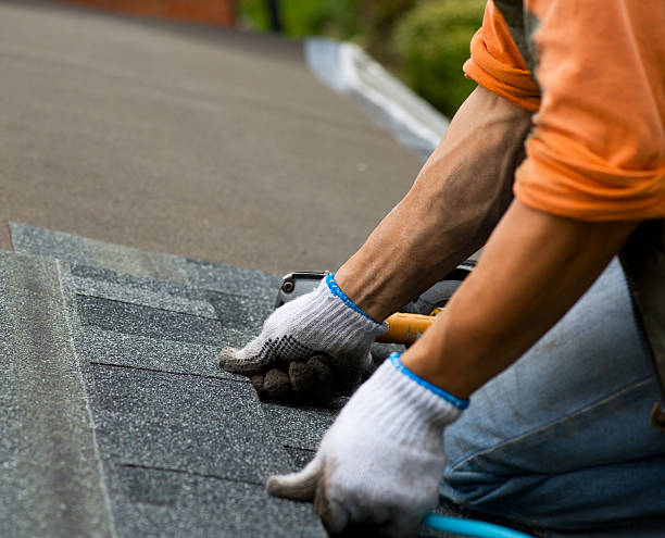 Best Commercial Roofing Services  in Gladeview, FL